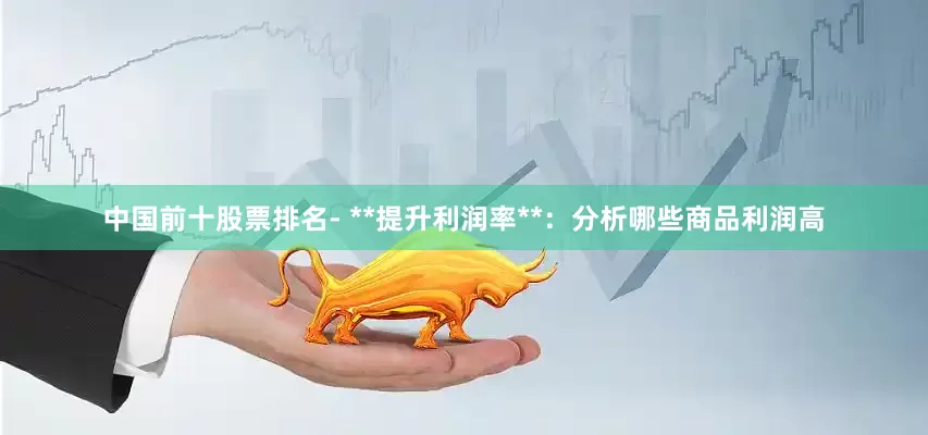 中国前十股票排名- **提升利润率**：分析哪些商品利润高